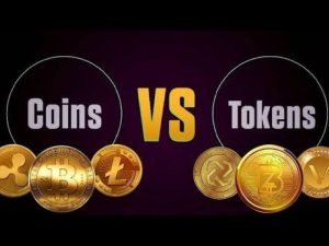 Key Differences Between Coin vs Token