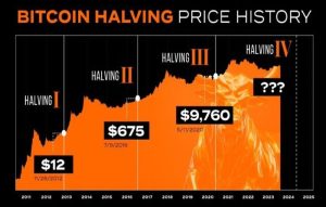 What is Bitcoin Halving?